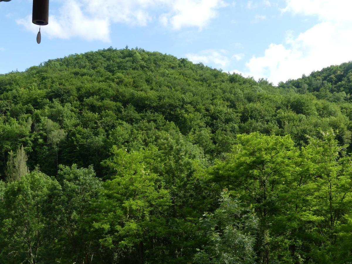 Source Nature Mas-d'Azil Extérieur photo