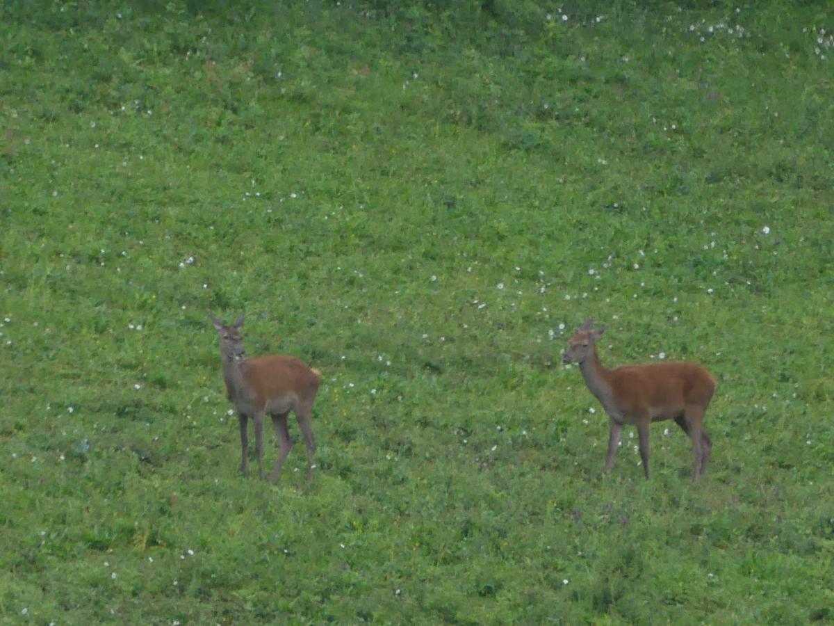 Source Nature Mas-d'Azil Extérieur photo