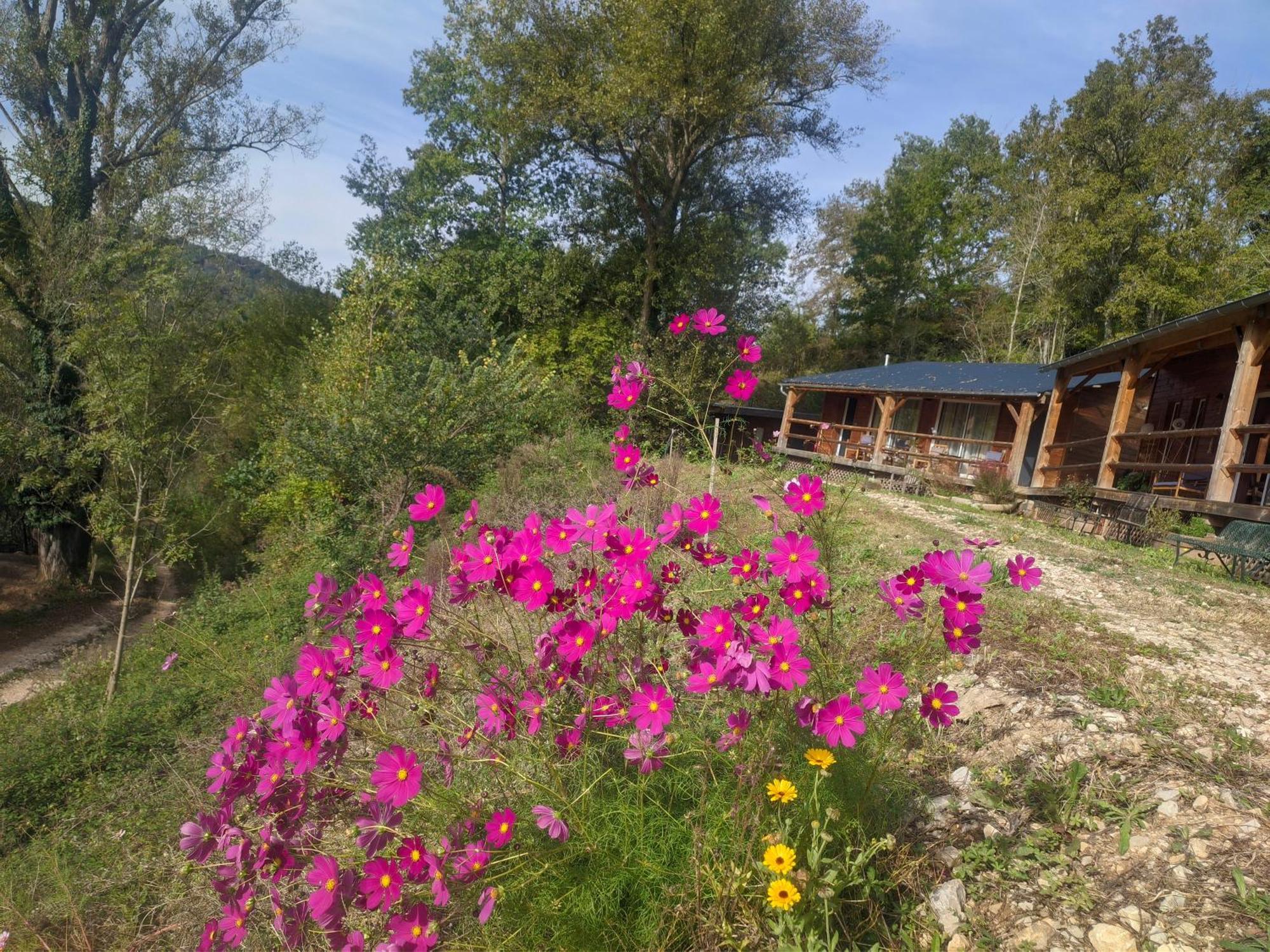 Source Nature Mas-d'Azil Chambre photo